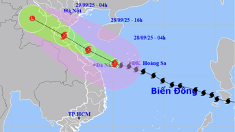 Tin mới nhất bão số 10 Bualoi: Cách Đà Nẵng 150km, tỉnh nào rủi ro thiên tai cấp 4?