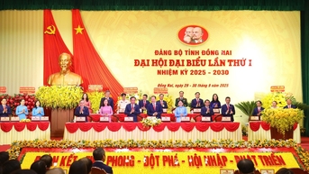 Dong Nai តែងតែស្ថិតក្នុងក្រុមឈានមុខគេក្នុងសេវាកម្មសាធារណៈ និងការផ្លាស់ប្តូរឌីជីថល។