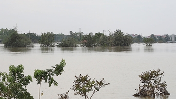 សំឡេងរោទិ៍លេខ 1 នៅលើទន្លេ Luc Nam