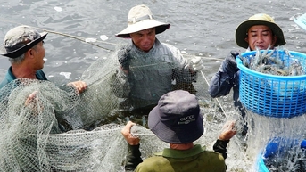 Dong Nai អភិវឌ្ឍកសិកម្ម រុក្ខាប្រមាញ់ និងនេសាទ។ ឱកាសជាច្រើនសម្រាប់ការអភិវឌ្ឍធនធានជលផល។