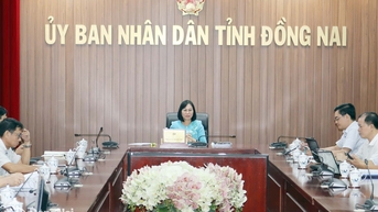 Đồng Nai mong sớm ban hành nghị quyết đặc thù để triển khai Luật Địa chất và khoáng sản