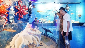 Khám phá không gian sinh vật đại dương dưới độ sâu đến 6.000m ở Nha Trang