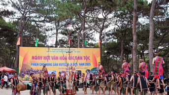 រឿងភូមិបាណារដែល "ឈានជើងចូល" ភាពយន្ត