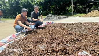Xây dựng nông thôn sinh thái gắn với nông nghiệp tuần hoàn