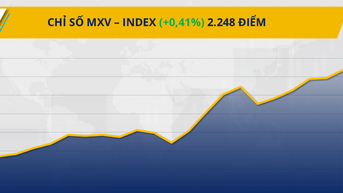 Dòng tiền chảy mạnh đẩy MXV-Index lên đỉnh gần hai tháng