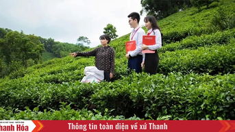 ជំរុញផលិតកម្ម អាជីវកម្ម និងពង្រីកទីផ្សារ