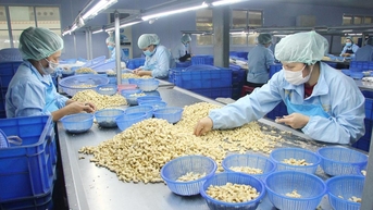 Mở đường cho khởi nghiệp, đổi mới sáng tạo