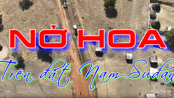 ផ្ការីកនៅស៊ូដង់ខាងត្បូង