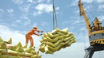 ADB: Kinh tế Việt Nam giữ vững đà tăng trưởng giữa thách thức toàn cầu