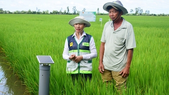 ការច្នៃប្រឌិតក្នុងវិស័យ