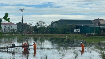EVNNPC ស្តារ និងផ្គត់ផ្គង់ថាមពលឡើងវិញដល់អតិថិជនជាង 1.8 លាននាក់ដែលរងផលប៉ះពាល់ដោយព្យុះលេខ 10