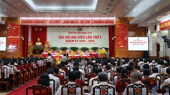 ដុងថាប ខិតខំសម្រេចបានប្រាក់ចំណូលជាមធ្យម ១១៥លានដុង/ម្នាក់/ឆ្នាំ។