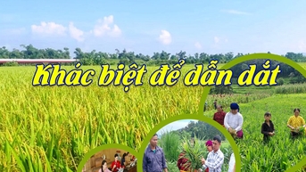 បែងចែកដើម្បីដឹកនាំ
