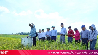 បច្ចេកវិជ្ជាសើម និងសម្ងួតជំនួសក្នុងការដាំដុះស្រូវកាត់បន្ថយការបំភាយឧស្ម័ន