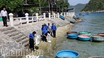Làng biển Bích Đầm thêm xanh