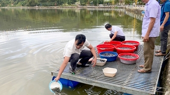 Lễ thả cá tái tạo nguồn lợi thuỷ sản năm 2025