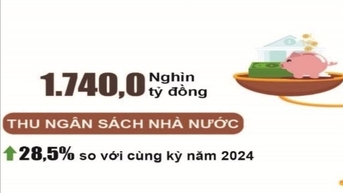 Thu ngân sách đạt 88,5% dự toán năm, tăng 28,5%