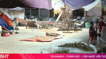 Thảo dược "phơi mình" giữa chợ Hà Tĩnh