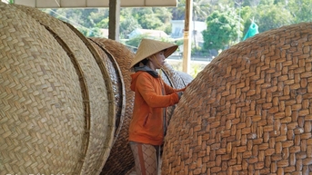 Lưu giữ nghề đan thúng chai truyền thống