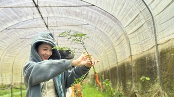 Du lịch canh nông - lợi ích kép cho nông dân