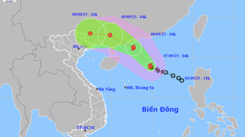 Bão số 7 giật lên cấp 11, dự báo tiếp tục mạnh thêm