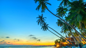 Địa điểm du lịch Phan Thiết Tết Nguyên đán 2025 thu hút du khách