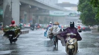Today's weather (February 9th): Northern Vietnam shrouded in cold rain.