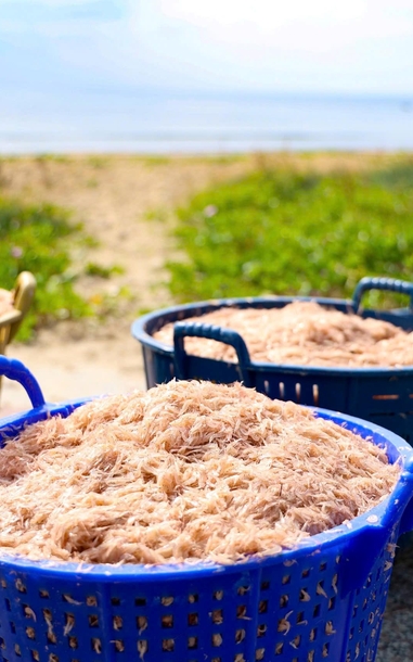 Trúng đậm ruốc biển, ngư dân Quảng Ngãi bỏ túi bạc triệu mỗi ngày