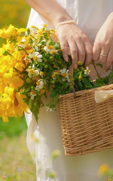 Dã quỳ nhuộm vàng phố núi, Đà Lạt vào mùa đẹp nhất năm