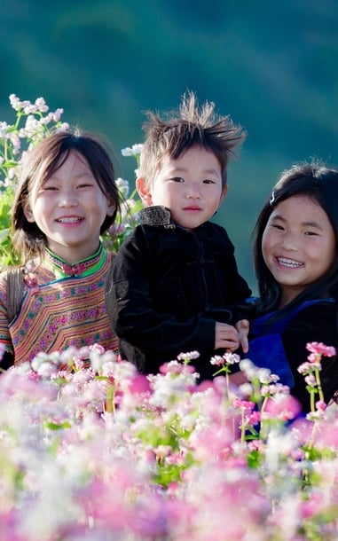 សម្រស់ភូមិ Lo Lo Chai ក្នុងរដូវផ្ការីក