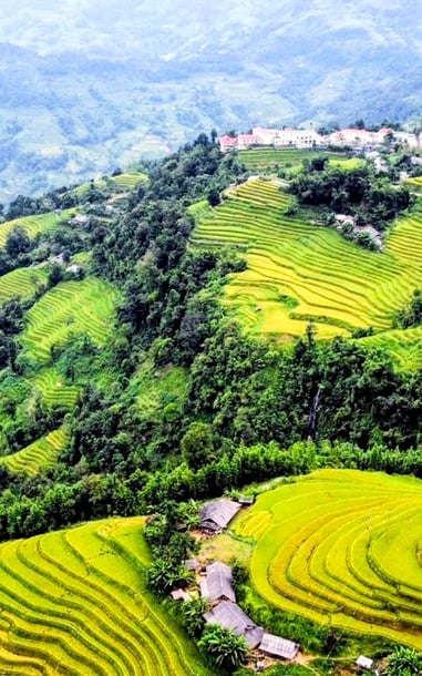 Mùa vàng Hoàng Su Phì bình yên giữa non cao Tây Côn Lĩnh
