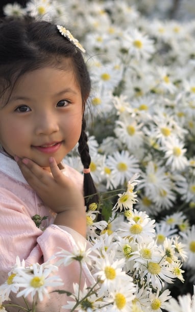 Hoạ mi nhí