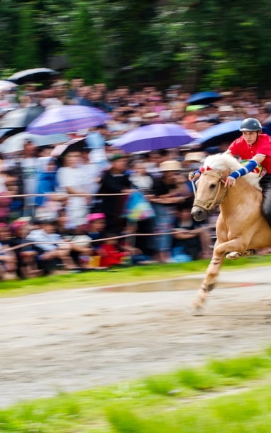 VÓ NGỰA BẮC HÀ