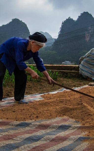 ខ្នងរបស់ម្តាយ