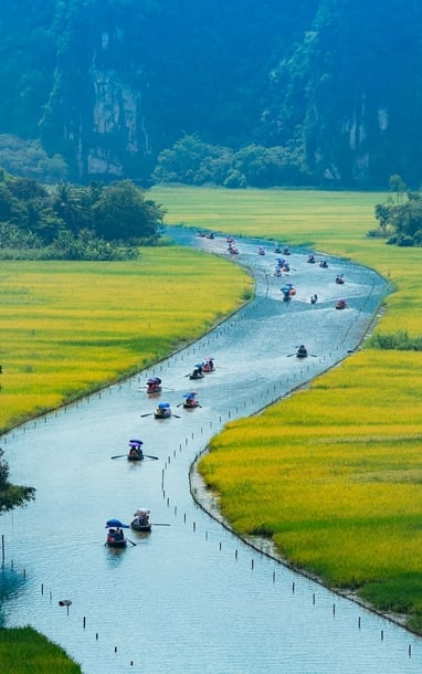 Trầm tích Hoa Lư