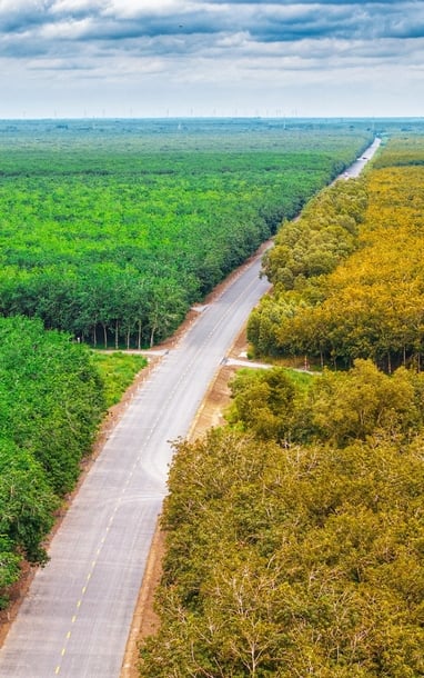 Vẻ đẹp say đắm lòng người của cung đường Hồ Chí Minh nhìn từ trên cao