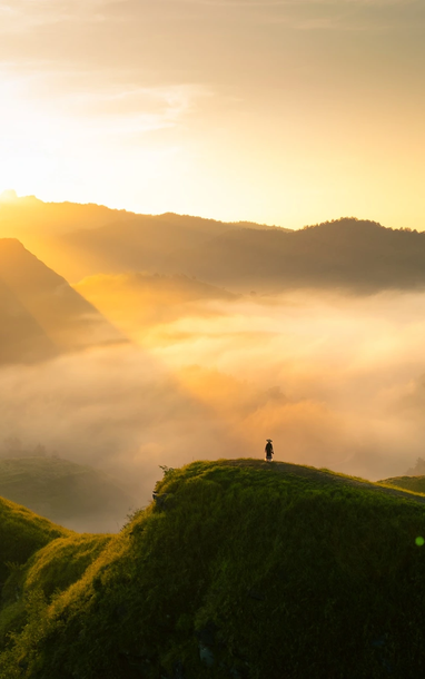 Mùa cỏ cháy phủ vàng đồi Ba Quáng giữa núi rừng Cao Bằng