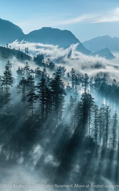 Đẹp mê mẩn Sa Pa mùa 'săn mây'