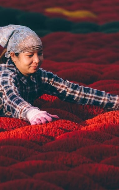 Làng hương Quảng Phú Cầu: Khám phá sắc đỏ ngoại ô Hà Nội