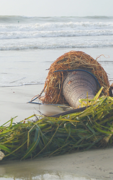 Cây nằm như ngả rạ, đường phố Đà Nẵng ngập rác và cát bão số 13 Kalmaegi
