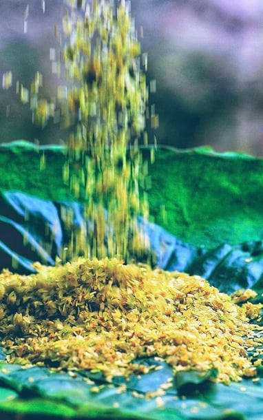 Cốm Mễ Trì đỏ lửa, rộn ràng nhịp chày giã vào vụ mới