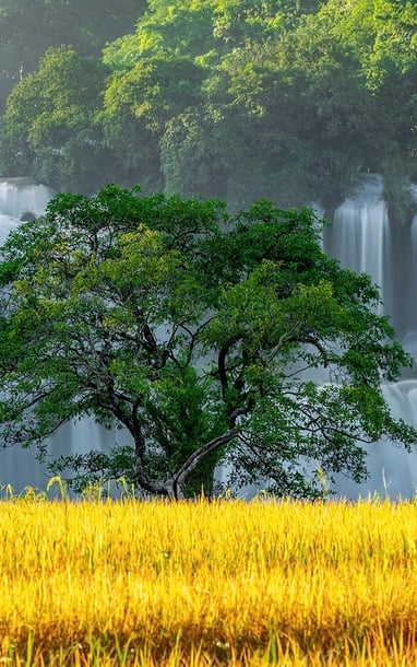 Vẻ đẹp yên bình, hoang sơ của vùng đất Non nước Cao Bằng