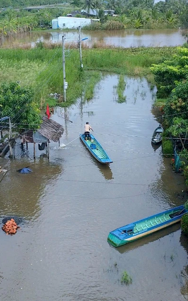 Khu tái định cư ở Cà Mau bốn năm bị bủa vây giữa biển nước