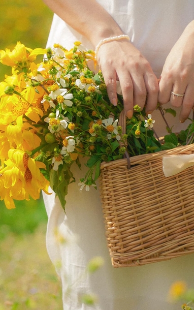 Dã quỳ nhuộm vàng phố núi, Đà Lạt vào mùa đẹp nhất năm