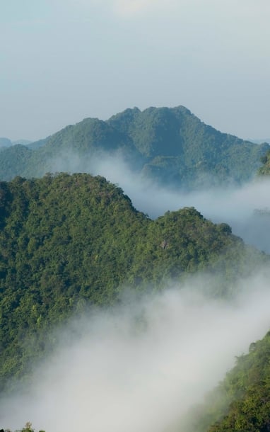 'Sa Pa xứ Thanh' mờ ảo trong sương mù