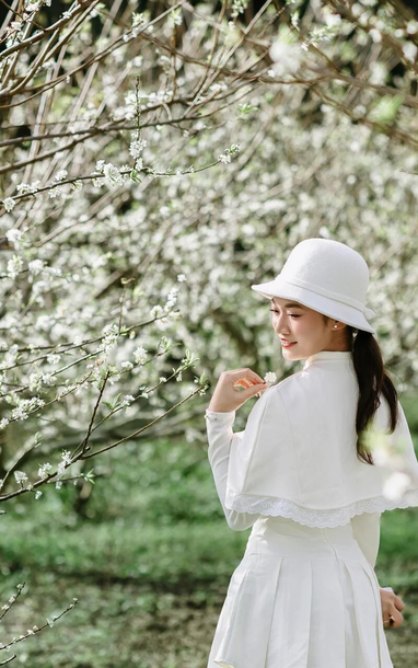 Hoa mận nở sớm, Mộc Châu toả sắc trắng tinh khôi giữa tháng 11