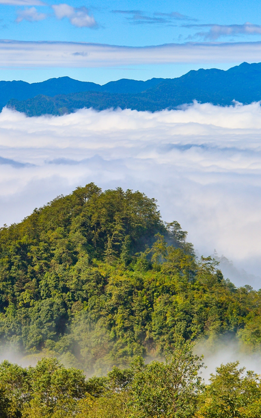 Ngắm biển mây ở ngôi làng cao nhất Việt Nam