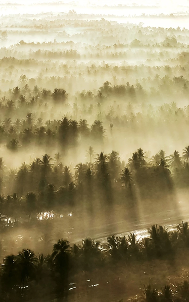 Cảnh bình minh gây sửng sốt tại Vĩnh Long