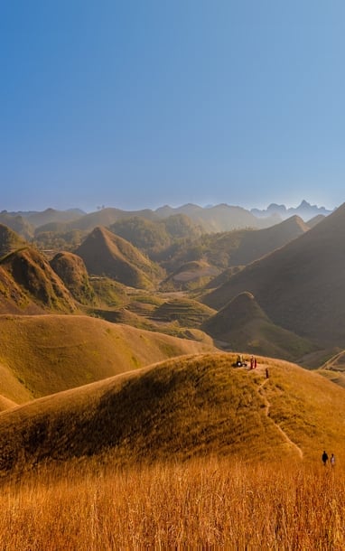 Đỉnh Phượng Hoàng đang 'cháy' sắc vàng mùa cỏ đẹp nhất năm
