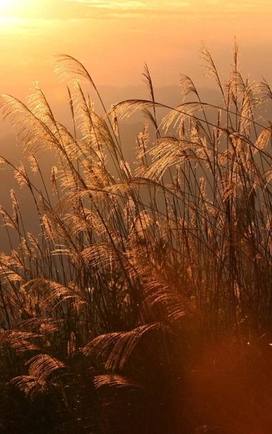 Sắc chiều phủ xuống Điện Biên với một vẻ đẹp không lời